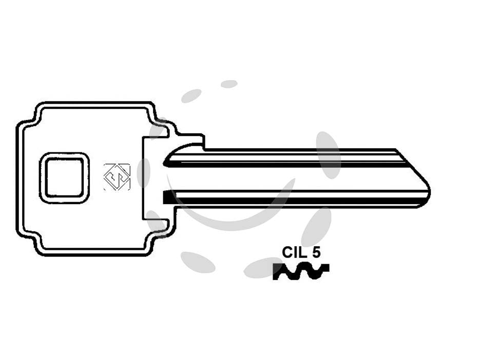 Chiavi per cilindri cila-gentili 6 spine grandi - CIL1 DX - in ottone nichelato, per lucchetti 'CILA A'