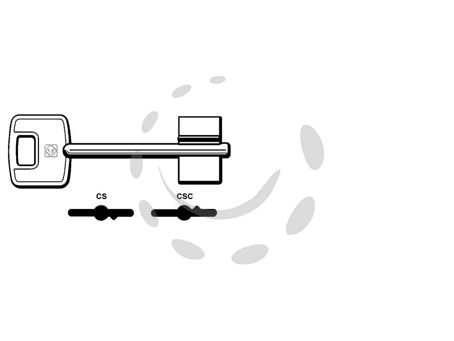 Chiavi doppia mappa cisa cs - csc - CS - in ottone nichelato