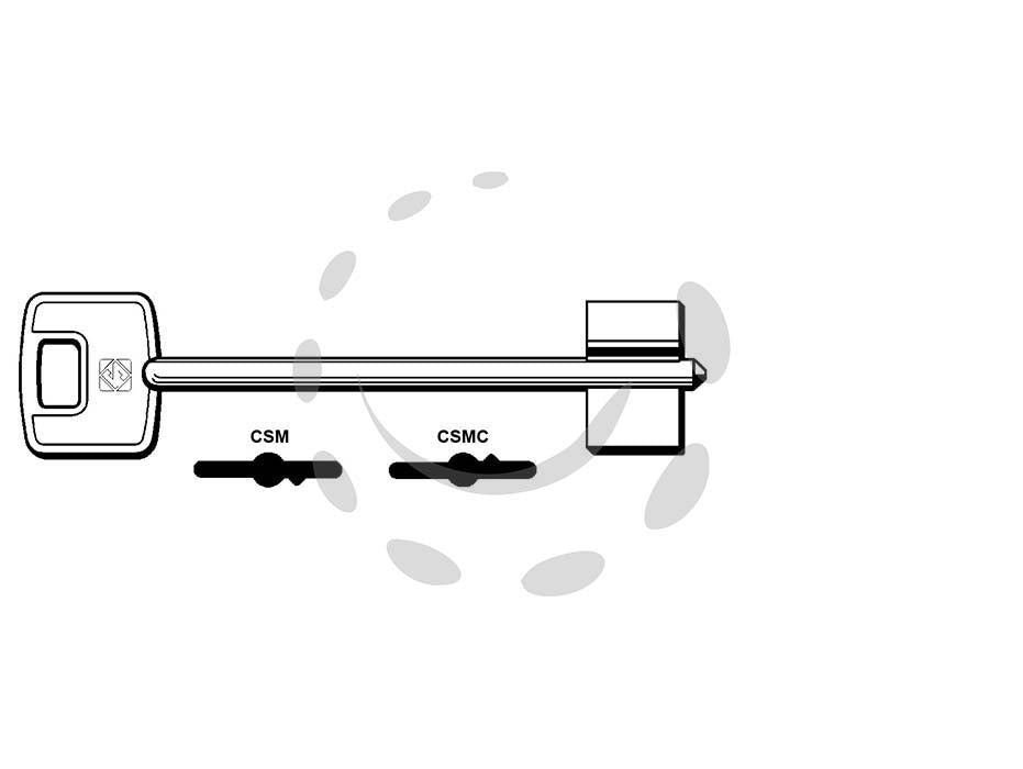 Chiavi doppia mappa cisa csm - csmc - CSMC - in ottone nichelato