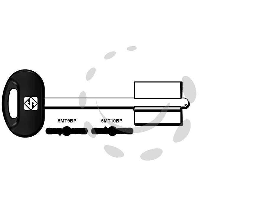 Chiavi doppia mappa mottura - 5MT9BP - in ottone nichelato, testa in plastica