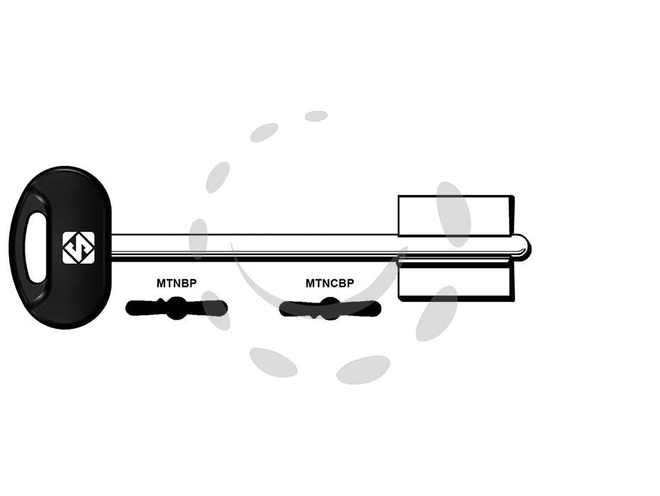 Chiavi doppia mappa mottura - MTNCBP - in ottone nichelato, testa in plastica