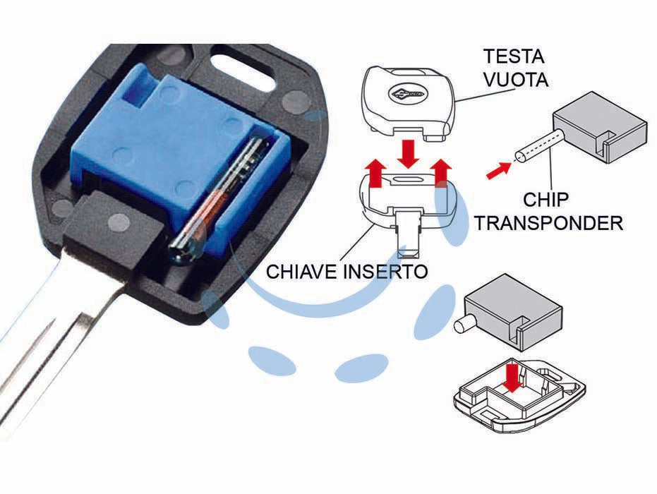 Testa elettronica per chiavi auto mh-ta - MH-TA - con adattatore TA per l'alloggiamento di chip transponder, da applicare a inserti chiavi