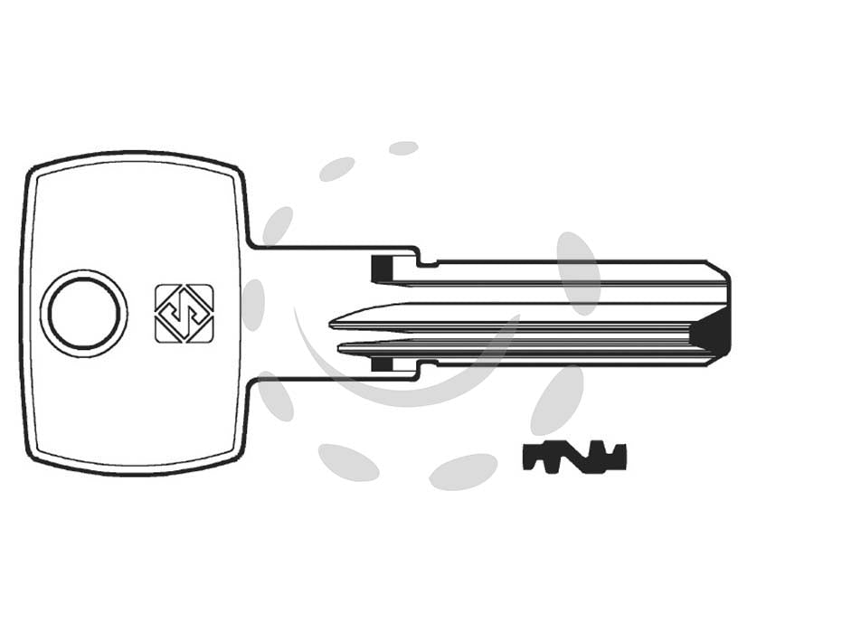 Chiavi punzonate per cilindri gevy 5 spine gvy1r - GVY1R - in ottone nichelato, profilo dorsato, per cilindri di sicurezza