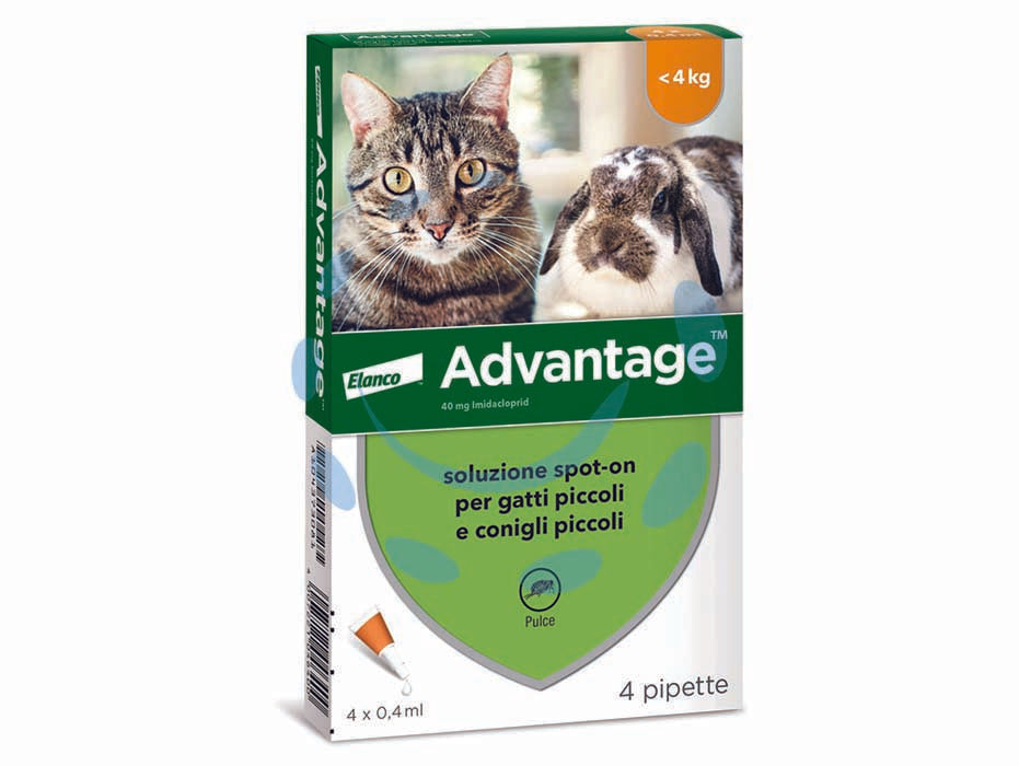 Antiparassitario advantage per gatti e conigli fino a kg.4 - in conf. da 4 pipette SPOT-ON - per gatti e conigli fino a Kg.4, antiparassitario per uso esterno, previene e tratta infestazioni da pulci, un trattamento pr...