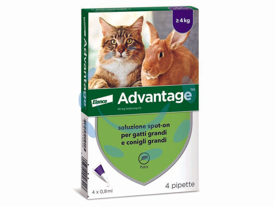 Antiparassitario advantage per gatti e conigli oltre kg.4 - in conf. da 4 pipette SPOT-ON - per gatti e conigli oltre Kg.4, antiparassitario per uso esterno, previene e tratta infestazioni da pulci, un trattamento pre...